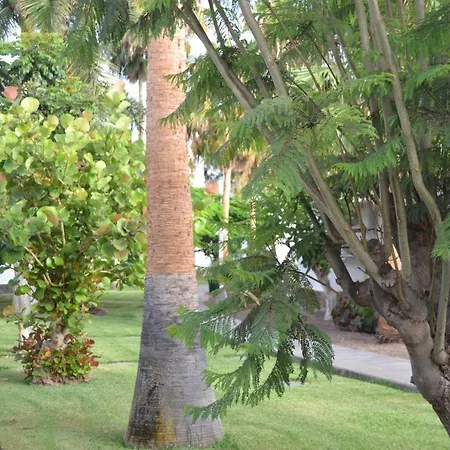Apartment Maspalomas Experience House *